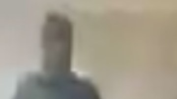 VIDEO: Grupo Pantera del CJNG interrogan y decapitan a huachicolero