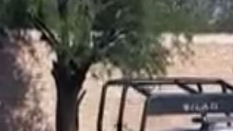 VIDEO: Sicarios atentan contra mando policial en zona que el Marro y el Mencho se disputan