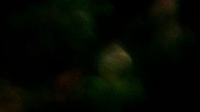 Varias personas dejaron ofrendas en el punto donde murió Ahmaud Arbery.