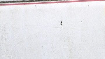 El proceso de quitar el óxido de tu auto puede llevar de 3 a 4 horas aproximadamente.