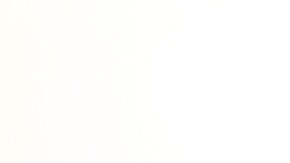 Como una respuesta al estrés, el cuerpo genera una mayor producción de hormonas (andrógenos) que aumenta la producción de grasa del rostro.