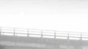 Los faros antiniebla sólo se deben utilizar de día. De noche las luces de posición deberían ser suficientes para ser visibles a otros autos.