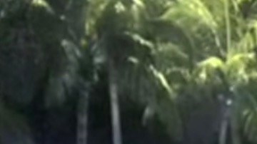 Imagen del video en el que se pudieron captar los hechos.