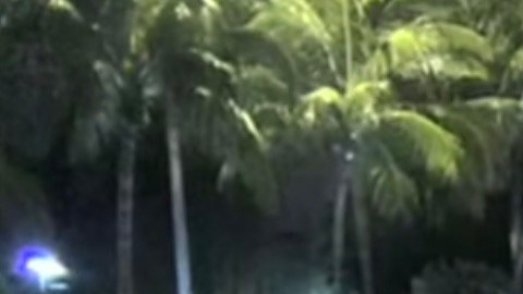 Imagen del video en el que se pudieron captar los hechos.