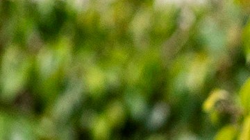 Un manifestante en L.A. despliega un mensaje sobre el pago de la renta.