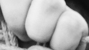 Los padres deben ser capaces de admitir que su hijo es un tirano y no buscarle atenuantes.