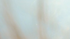 brocheta-nikitozawr-Pixabay