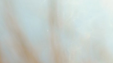 brocheta-nikitozawr-Pixabay