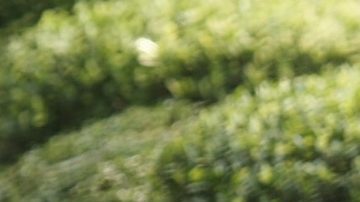 Aprende a relajarte con la respiración.