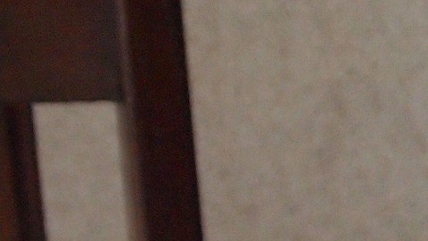 Lograr un trabajo efectivo confinados en el hogar con los hijos y las tareas de la casa, es un verdadero desafío que muy pocos padres están logrando.