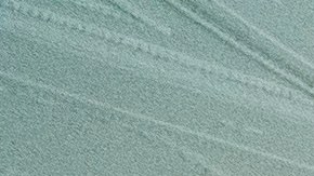 La residencia presidencial asegura estar "trabajando cuidadosamente" para evitar contagios.