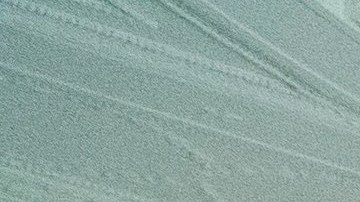 La residencia presidencial asegura estar "trabajando cuidadosamente" para evitar contagios.