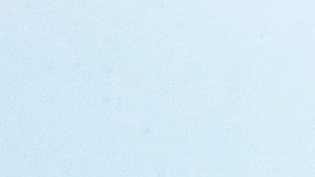 Hollywood Bowl cancels 2020 season amid coronavirus crisis in Los Angeles