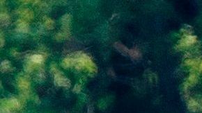 Trump en un carrito de golf.