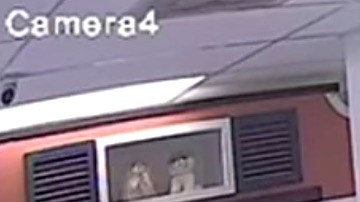 Imagen de la cámara de seguridad de la tienda donde se ve al ladrón llevándose al cachorro.