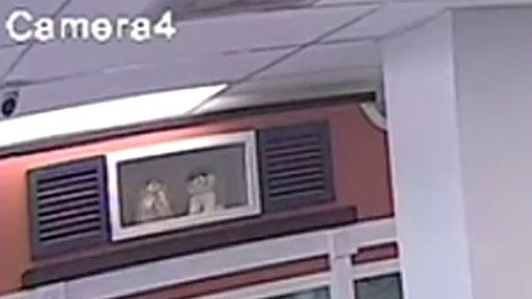 Imagen de la cámara de seguridad de la tienda donde se ve al ladrón llevándose al cachorro.
