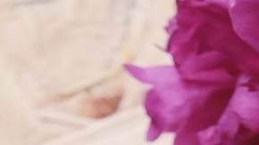 Una taza de café sencillo tiene menos de 5 calorías y no contiene grasa.