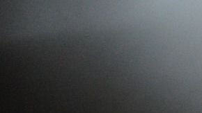 Joseph es un Scottish Fold con la particularidad de tener un ojo de cada color.