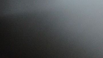 Joseph es un Scottish Fold con la particularidad de tener un ojo de cada color.