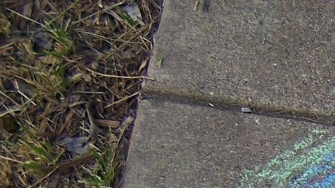 Salir a dibujar a la calle podría haber aumentado dado el interés de salir a obtener el aire fresco.