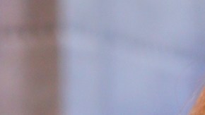 Chiquibaby y Héctor Sandarti.