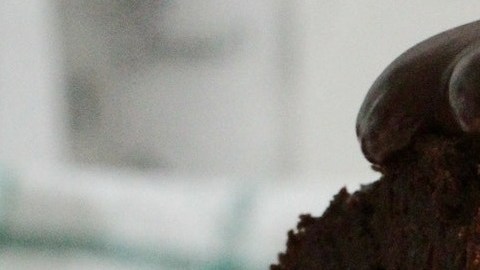 Foto:Marta Dzedyshko/Pexels