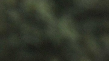 Hector Chumpitaz, leyenda del fútbol peruano.