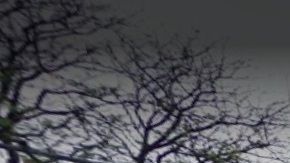 Bel-Aire Diner,  31 91 21st St, NYC