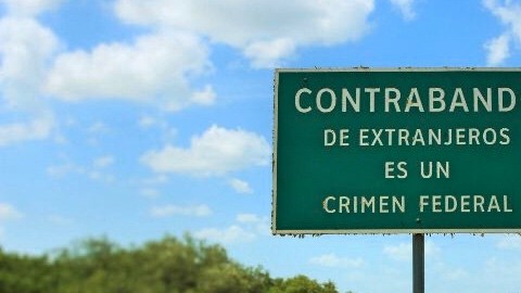 polleros contrabando