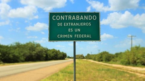 polleros contrabando