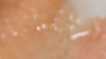 Debes tener mucho cuidado con este alimento que puede echarse a perder muy fácilmente.