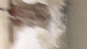 El propietario del edificio Sears quiere que se construya ahí vivienda para desamparados. (Archivo)