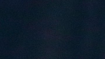 Sergiño Dest, seleccionado de Estados Unidos.