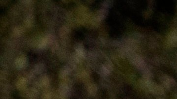 Todos los estados del país han empezado a rebajar sus restricciones.