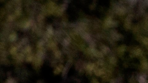 Todos los estados del país han empezado a rebajar sus restricciones.