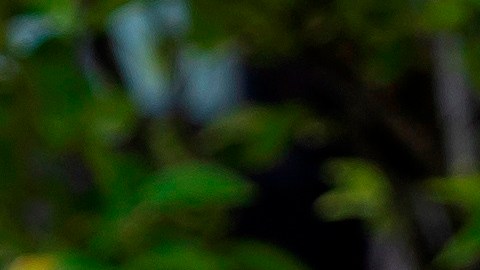 CDC da indicaciones detalladas para que líderes locales puedan tomar decisiones.
