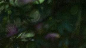 Aprende a enviar energías positivas a la distancia.