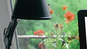 Ahora podrían ser más común este tipo de entrevistas.