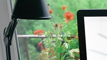 Ahora podrían ser más común este tipo de entrevistas.