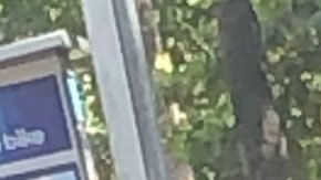 Un hombre haciendo sus necesidades a plena luz del día en Miami.