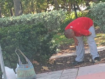 Un hombre haciendo sus necesidades a plena luz del día en Miami.