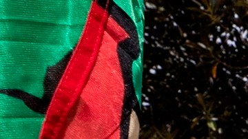 Rent - Coronavirus epidemic in Los Angeles