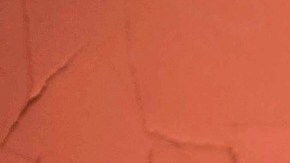 Un 50% de los encuestados opina que después de la pandemia la relación con sus hijos cambiará a mejor.