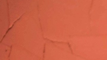 Un 50% de los encuestados opina que después de la pandemia la relación con sus hijos cambiará a mejor.