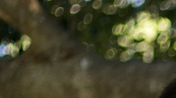 Brinde a sus hijos la orientación y el apoyo que necesitan para lidiar con el dolor para que puedan ganar confianza en su capacidad para manejar las inevitables dificultades de la vida.