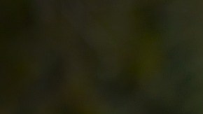 Hay estrategias que ayudan a vencer o al menos reducir este apego, por ejemplo asegurarse que las rutinas y horarios diarios incluyan momentos entre los niños y los padres.