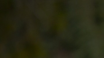 Hay estrategias que ayudan a vencer o al menos reducir este apego, por ejemplo asegurarse que las rutinas y horarios diarios incluyan momentos entre los niños y los padres.