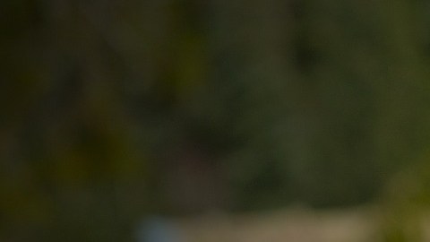 Hay estrategias que ayudan a vencer o al menos reducir este apego, por ejemplo asegurarse que las rutinas y horarios diarios incluyan momentos entre los niños y los padres.