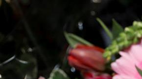 Cierran florerías para evitar aglomeraciones.