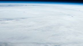 Puedes aplicar a través de la página web de la institución.